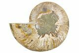 Cut & Polished Ammonite Fossil (Half) - Madagascar #345615-1